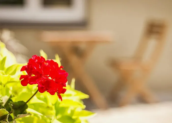 Appartement Private Vilnius