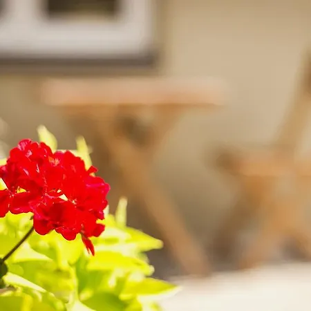 Apartment Private Vilnius